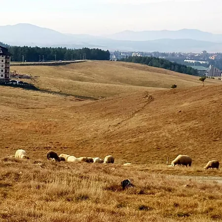 Sunset Hills 4* Zlatibor